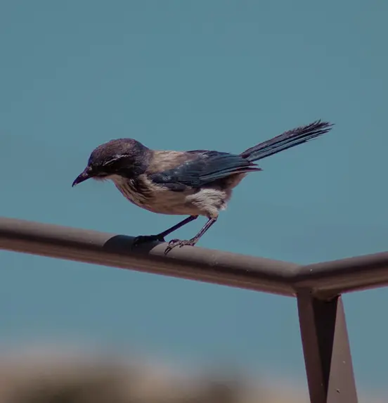 Detalle de arquitectura