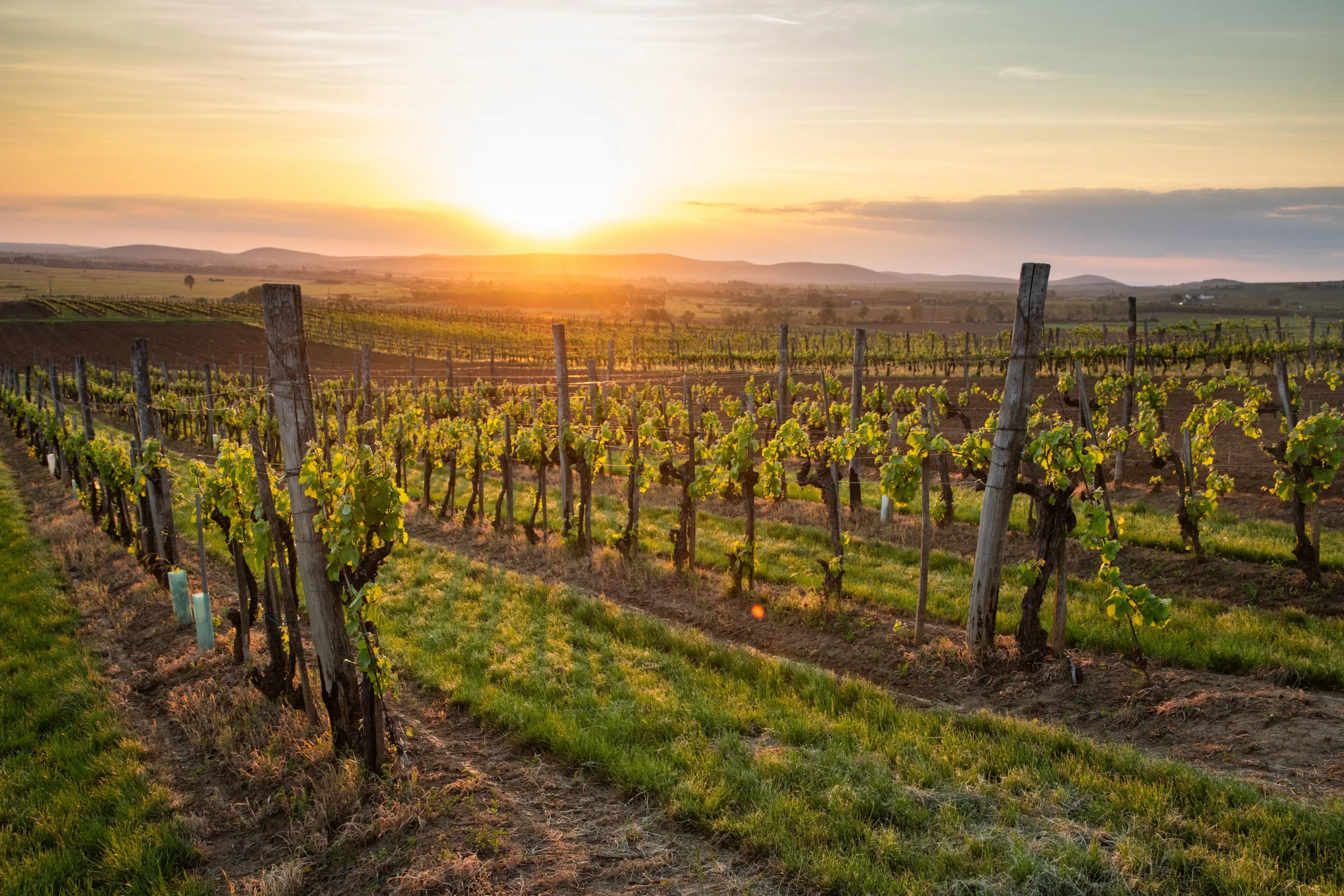 View of the pool and nature